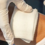 Caring for a red wound